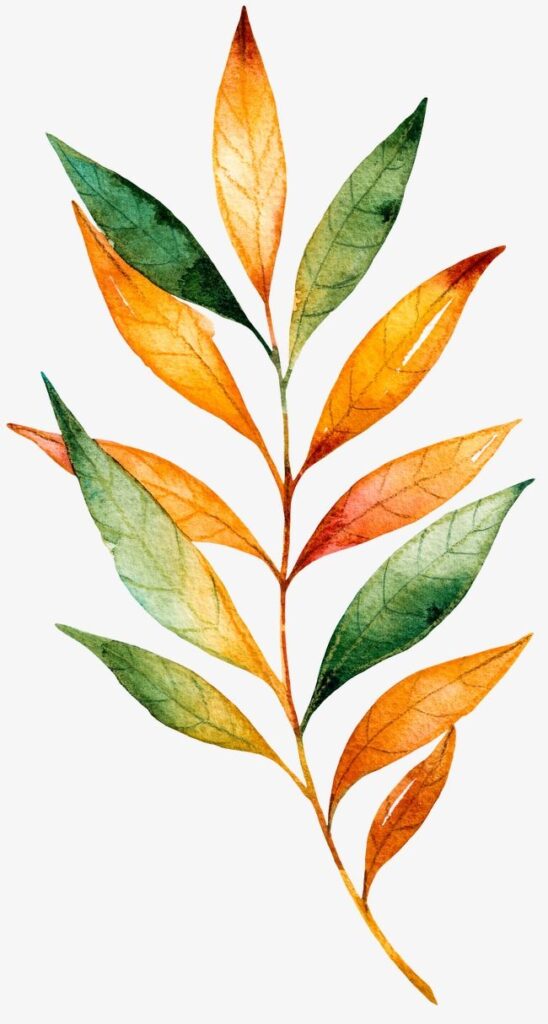 b7cdda8d3be53aa8902a0801eef84968 Watercolor painting of a branch with autumn leaves in orange, green, and yellow hues, on a white background. | Sky Rye Design Watercolor painting of a branch with autumn leaves in orange, green, and yellow hues, on a white background.