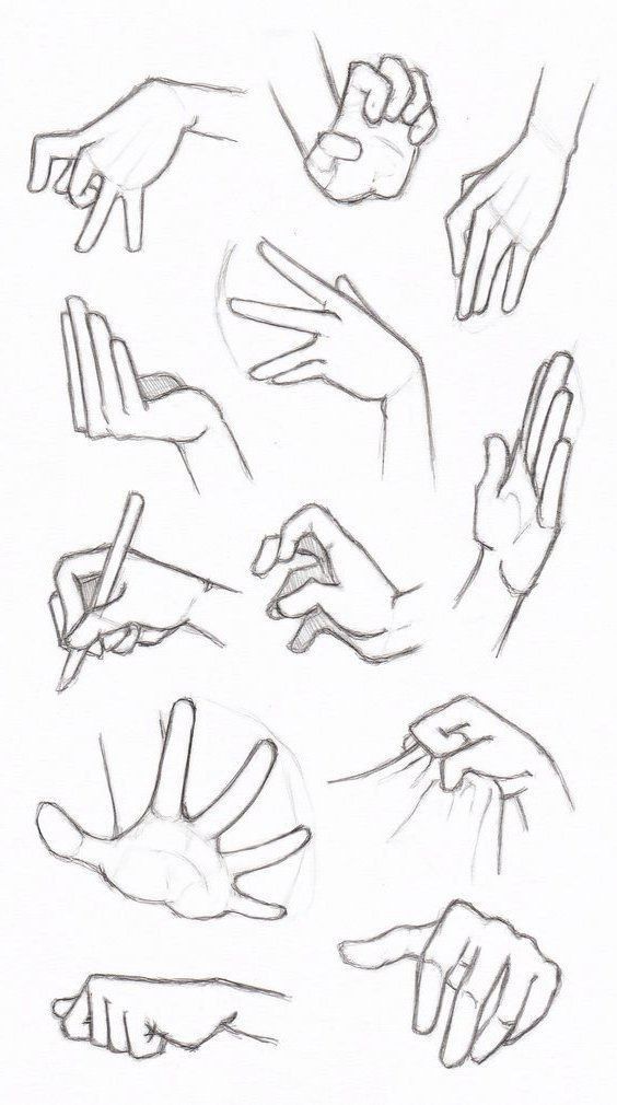 Sketch of various hand gestures showcasing different poses, ideal for drawing reference and artistic inspiration.