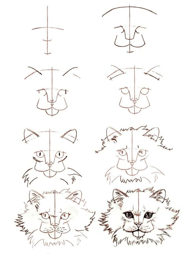 Step-by-step guide on how to draw a realistic cat face, from basic shapes to detailed features.