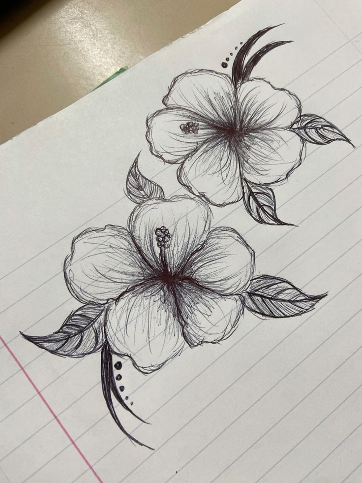 Pen sketch of two hibiscus flowers with detailed petals and leaves on a lined notebook page.