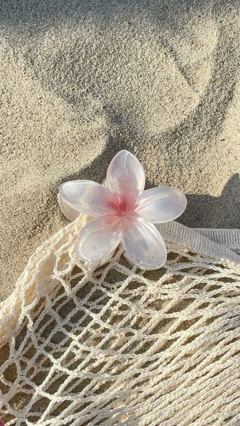 Translucent flower on a sandy beach with a white net bag in sunlight.