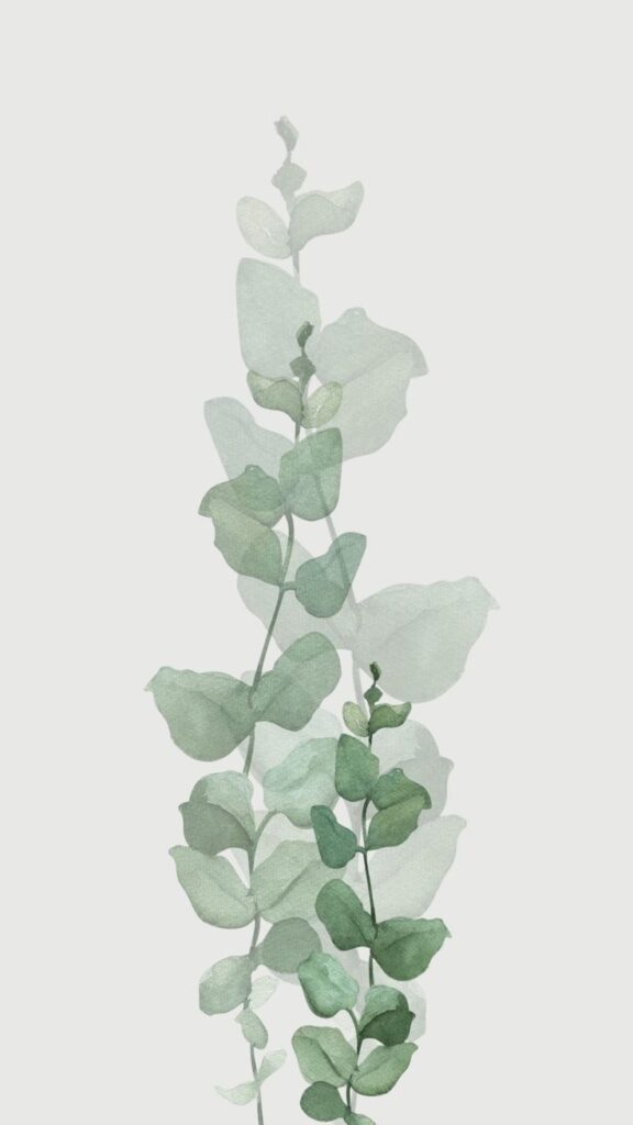Watercolor eucalyptus leaves illustration on white background, featuring soft green hues and delicate foliage.