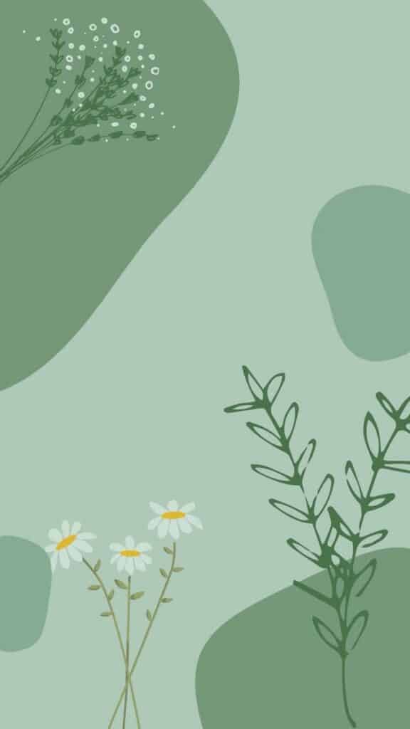Abstract green background with simple floral illustrations, featuring daisies and leaves. Minimalist botanical design.