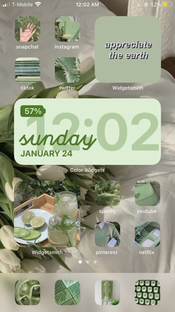 Aesthetic green-themed phone home screen with app icons, widgets, and environmental message.
