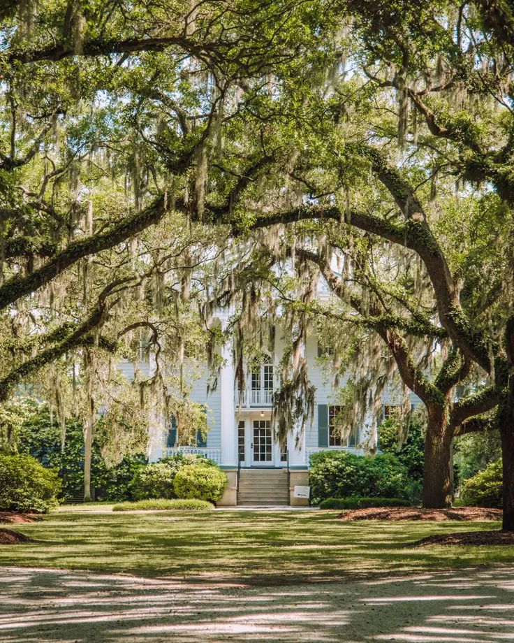 Stately Southern house framed by large moss-covered oak trees and a lush green lawn.