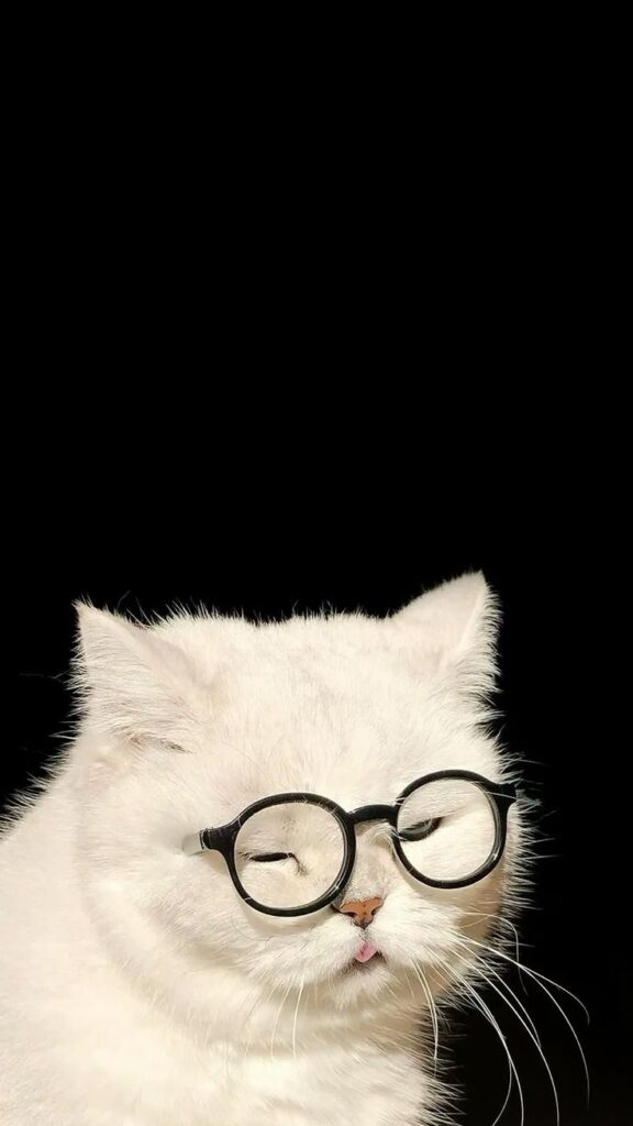 White cat wearing glasses, eyes closed, with a black background. Cute and whimsical pet portrait.