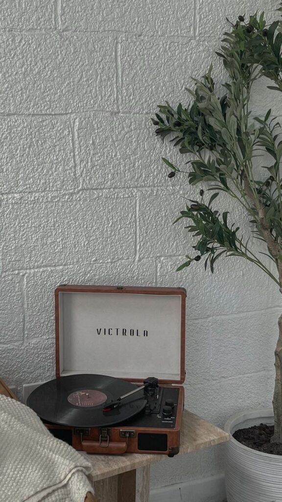 Vintage record player on a small table next to a potted green plant, set against a textured white brick wall.