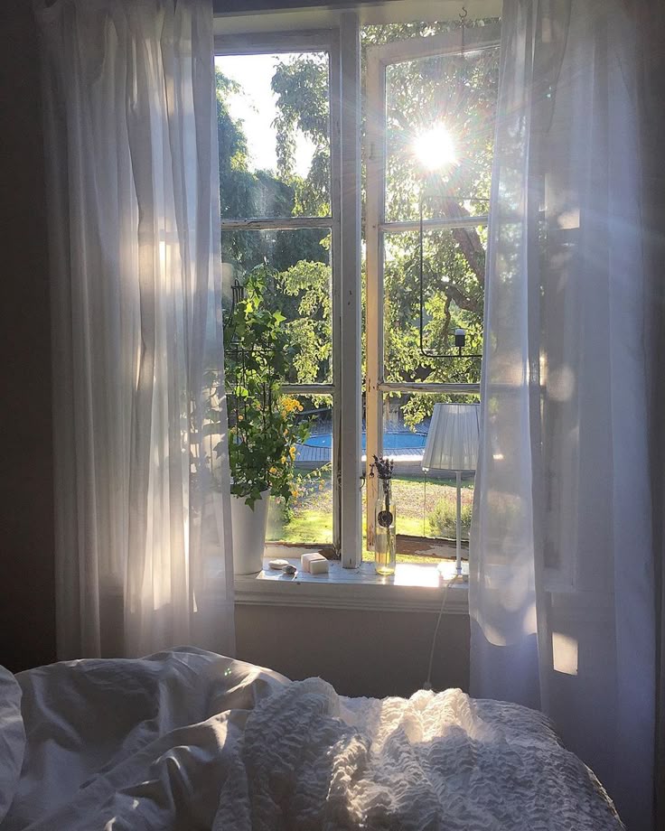 Sunlit bedroom with cozy bed, sheer curtains, and a potted plant by the window, creating a serene morning ambiance.