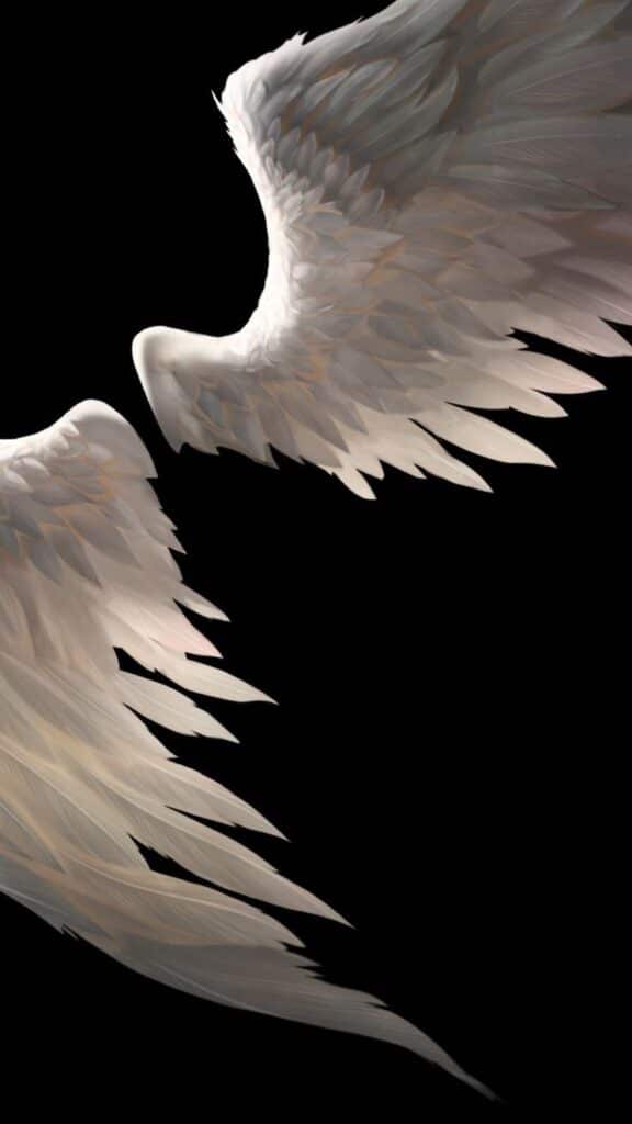Close-up of detailed white angel wings with a dark background, symbolizing grace and fantasy.
