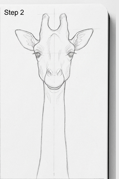 Front-view pencil sketch of a giraffe head and long neck in a sketchbook, Step 2 drawing tutorial