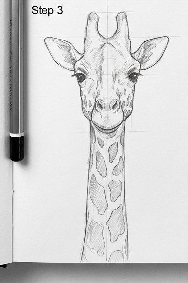 Pencil sketch of a giraffe head and neck in a sketchbook with pencil; step-by-step drawing tutorial Step 3