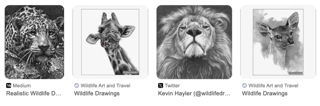 Four realistic black-and-white wildlife drawing thumbnails: jaguar, giraffe, lion and deer pencil sketches