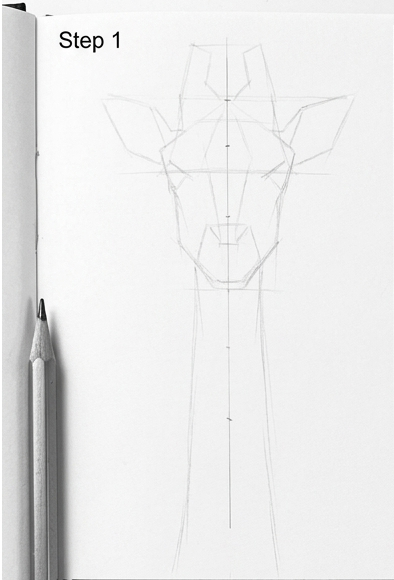 Step 1 giraffe drawing tutorial: pencil sketch of head and neck construction lines with centerline, pencil on paper.