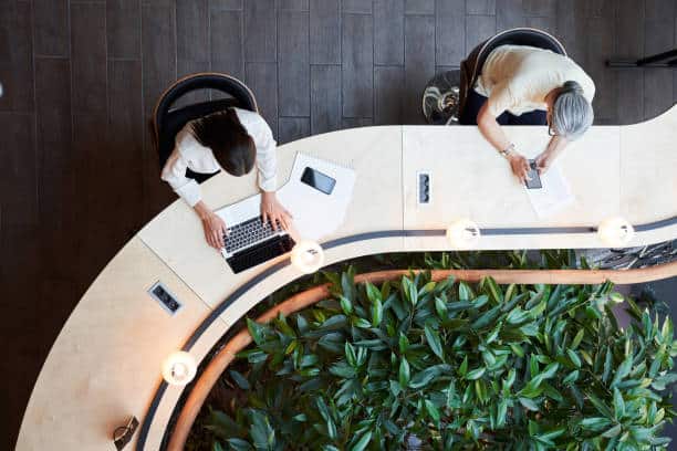 People working at a modern co-working space with laptops and greenery, viewed from above.
