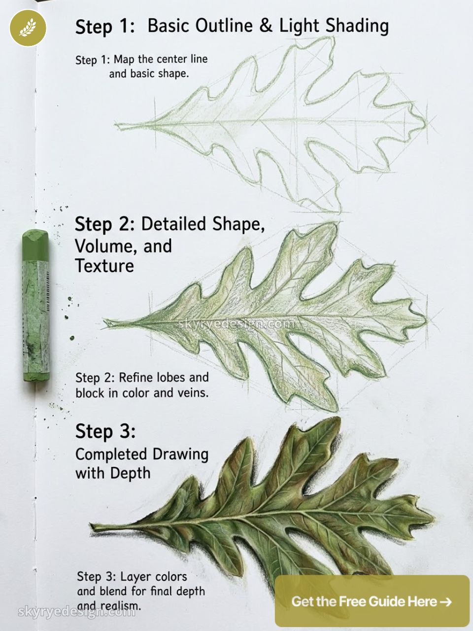 Step-by-step oak leaf drawing tutorial: basic outline, detailed shading, finished realistic colored leaf using green pastel