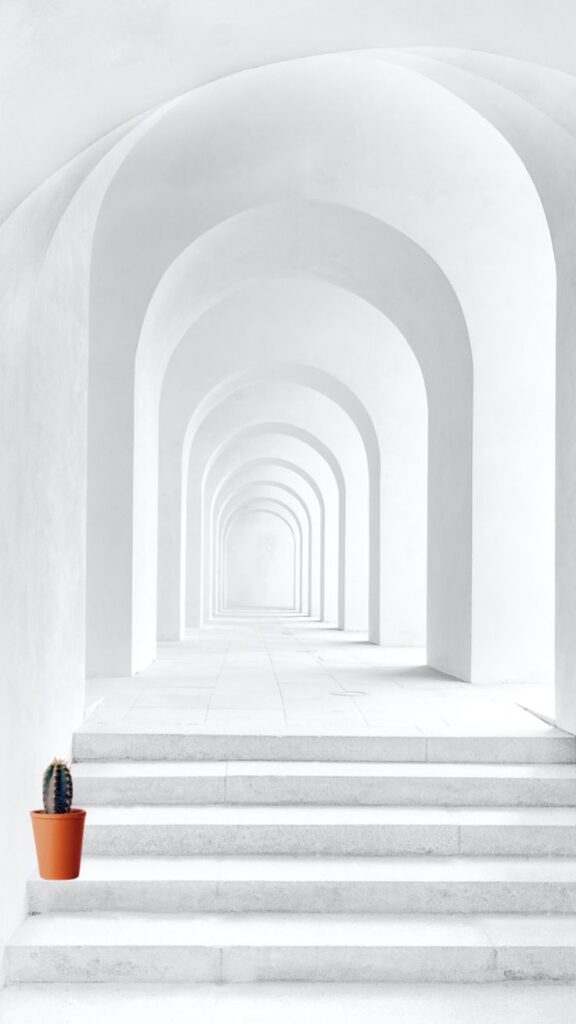 Minimalist white arches with a small cactus in a terracotta pot on stairs.