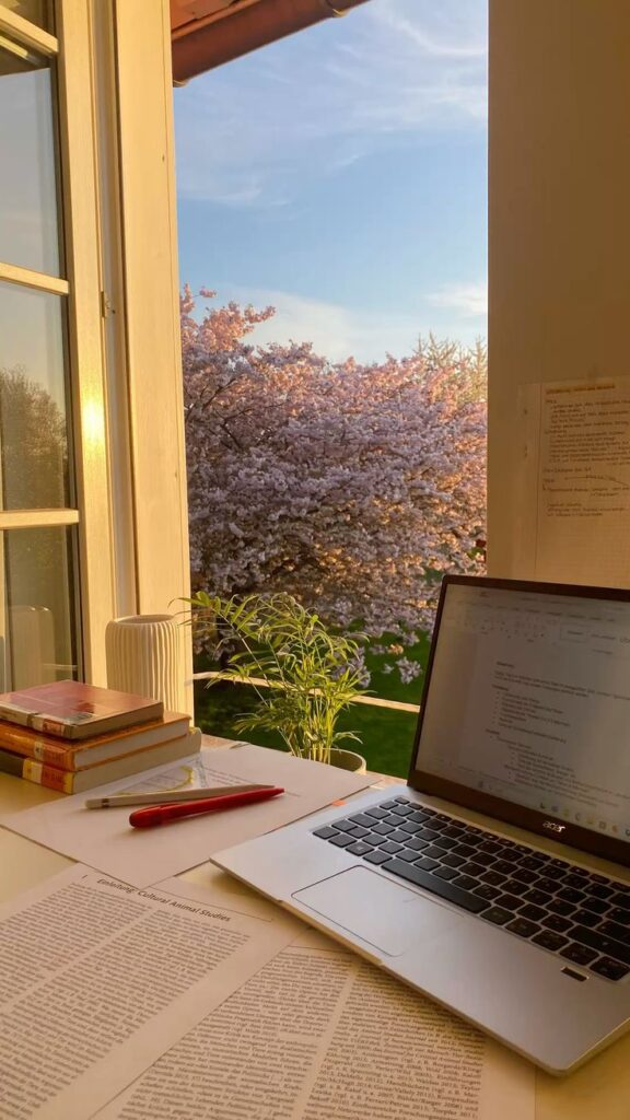 Open window with cherry blossom view, study desk with laptop, books, and papers in warm sunlight.