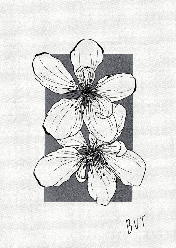 15ee237b-345b-4e78-8302-b2b1ddff2de5 Line drawing of two floral blossoms with overlapping petals on a textured background. | Sky Rye Design Line drawing of two floral blossoms with overlapping petals on a textured background.