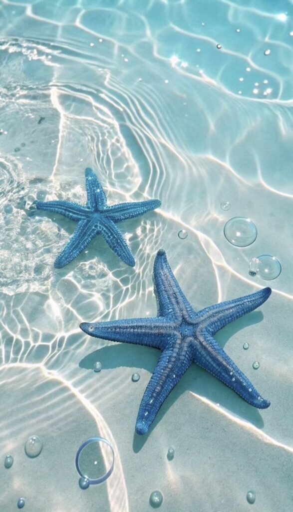 Two vibrant blue starfish resting in clear, sunlit water with soft ripples and bubbles.