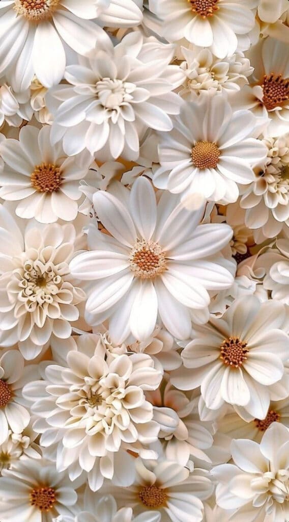 Beautiful close-up of white daisies in full bloom, showcasing delicate petals and lush floral arrangement.