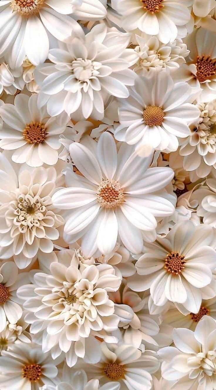 40 Stunning Flower Wallpapers For Iphone: Fresh Designs