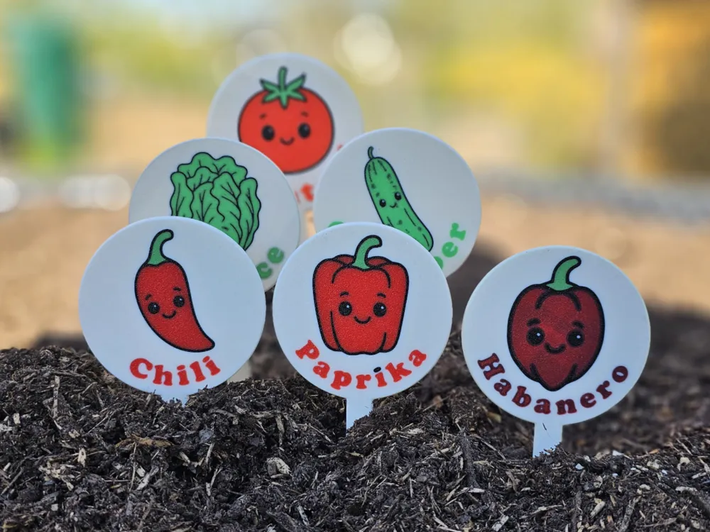 Cute vegetable garden markers: chili, paprika, habanero, lettuce, tomato, and cucumber in soil.