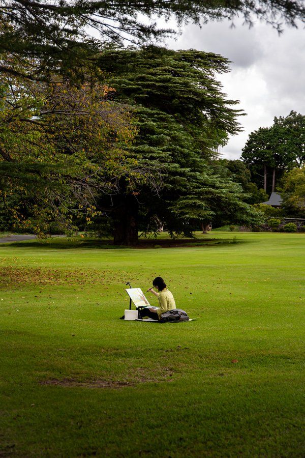 Artist painting in a green park under a large tree, capturing nature's beauty on a peaceful day.