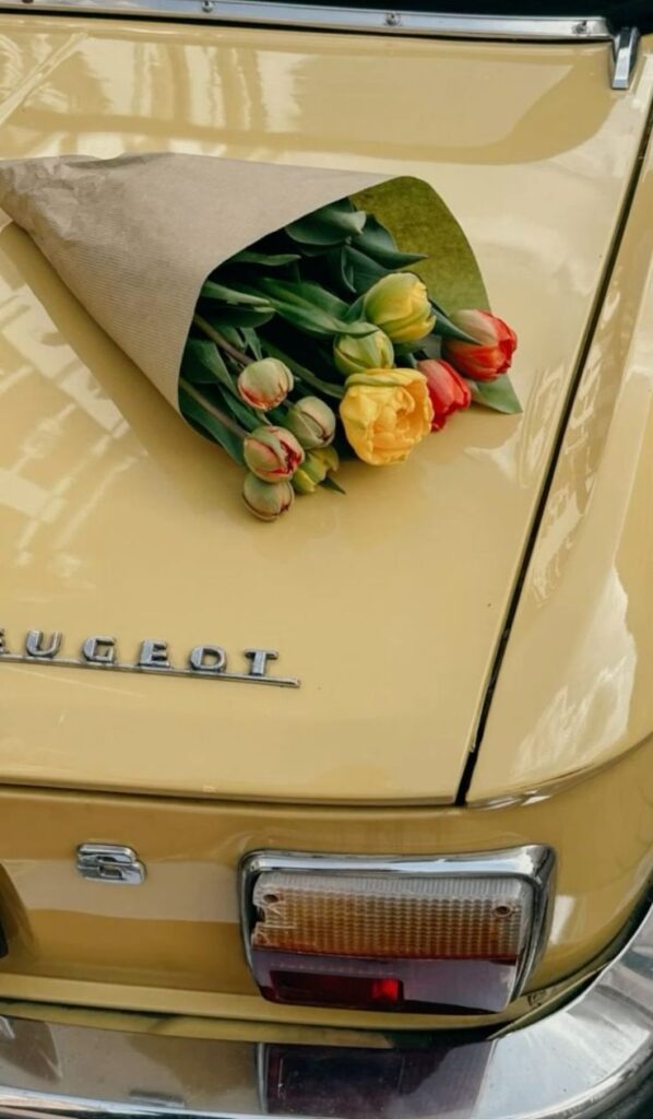 Bouquet of tulips on a classic yellow Peugeot's trunk, creating a vintage and floral aesthetic.