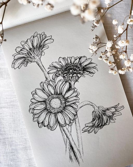 32cb5d7d-a6d1-48a7-8e75-30587e844b18 Black and white floral sketch of daisies on paper, accented by delicate white blooms. | Sky Rye Design Black and white floral sketch of daisies on paper, accented by delicate white blooms.