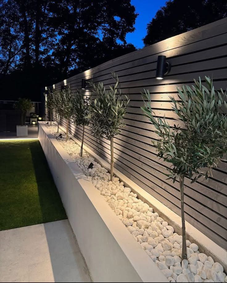 _ 35 Modern garden with olive trees, illuminated by wall lights, on gravel bed near fence at dusk. | Sky Rye Design Modern garden with olive trees, illuminated by wall lights, on gravel bed near fence at dusk.