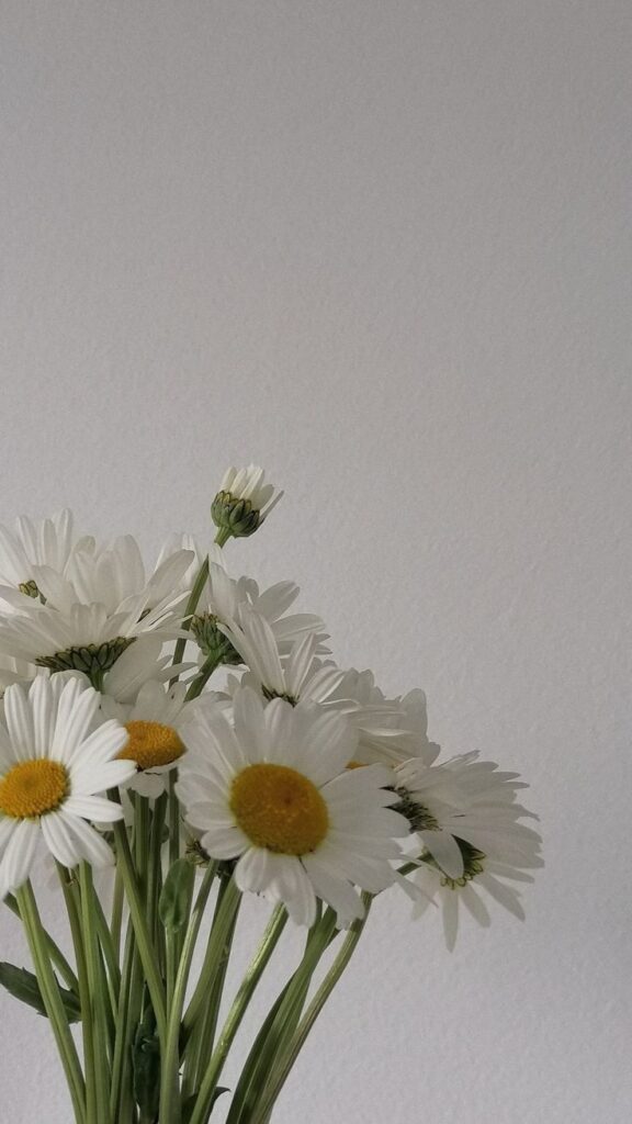 Bouquet of white daisies with yellow centers against a light gray background, capturing natural simplicity and elegance.