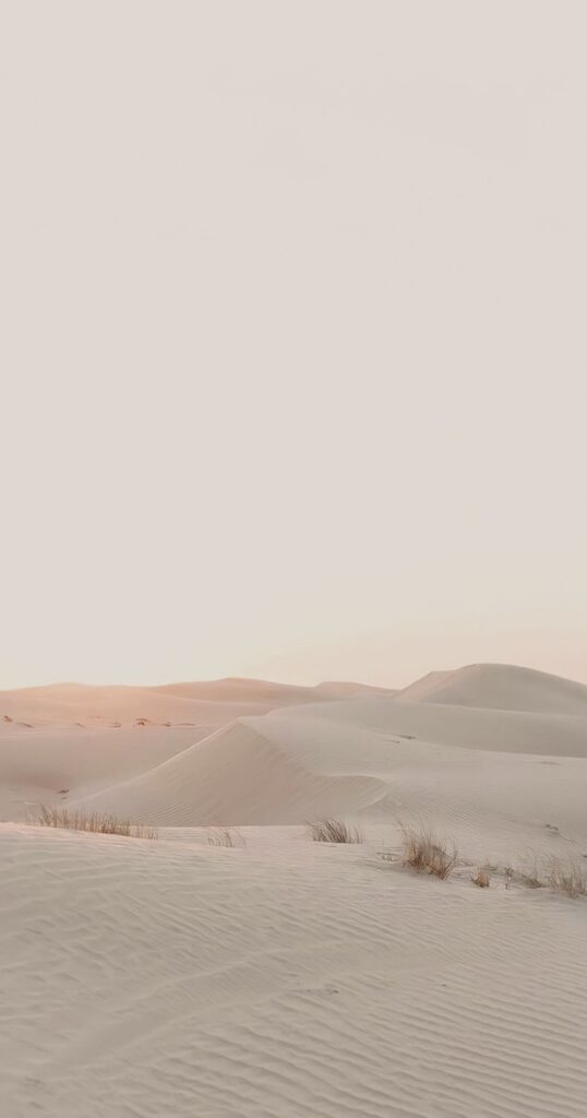Sunset over sandy desert dunes with sparse vegetation, creating a serene and picturesque landscape.