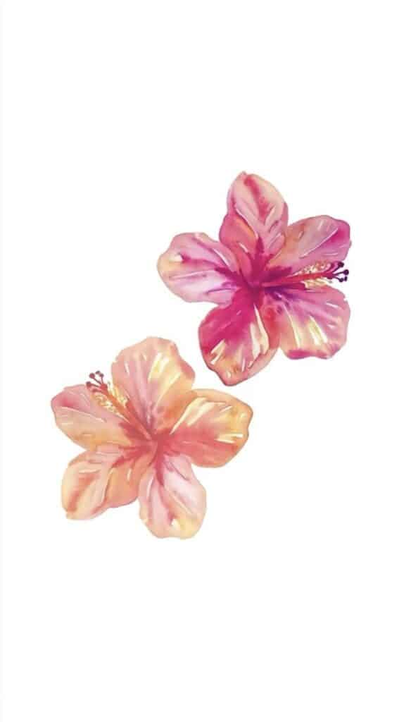 Watercolor illustration of two vibrant pink and orange hibiscus flowers on a white background.