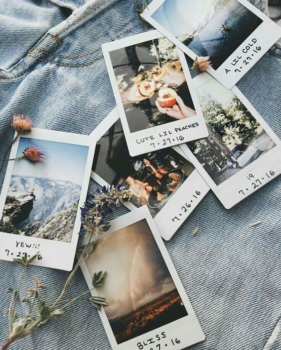 Polaroid photos on denim with nature scenes and handwritten dates, surrounded by dried flowers.