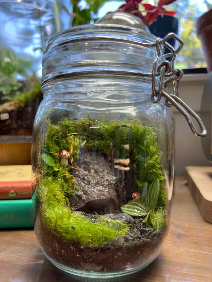 885f63f7d8edcc4fce3e8dc75c7cae59 Miniature terrarium in a glass jar with moss, pebbles, and tiny mushrooms on a wooden table. | Sky Rye Design Miniature terrarium in a glass jar with moss, pebbles, and tiny mushrooms on a wooden table.