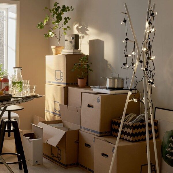 Back to School Essentials Organization Ideas Cozy room with string lights, moving boxes, plants, and kitchen items on a table, creating a welcoming atmosphere. | Sky Rye Design Cozy room with string lights, moving boxes, plants, and kitchen items on a table, creating a welcoming atmosphere.
