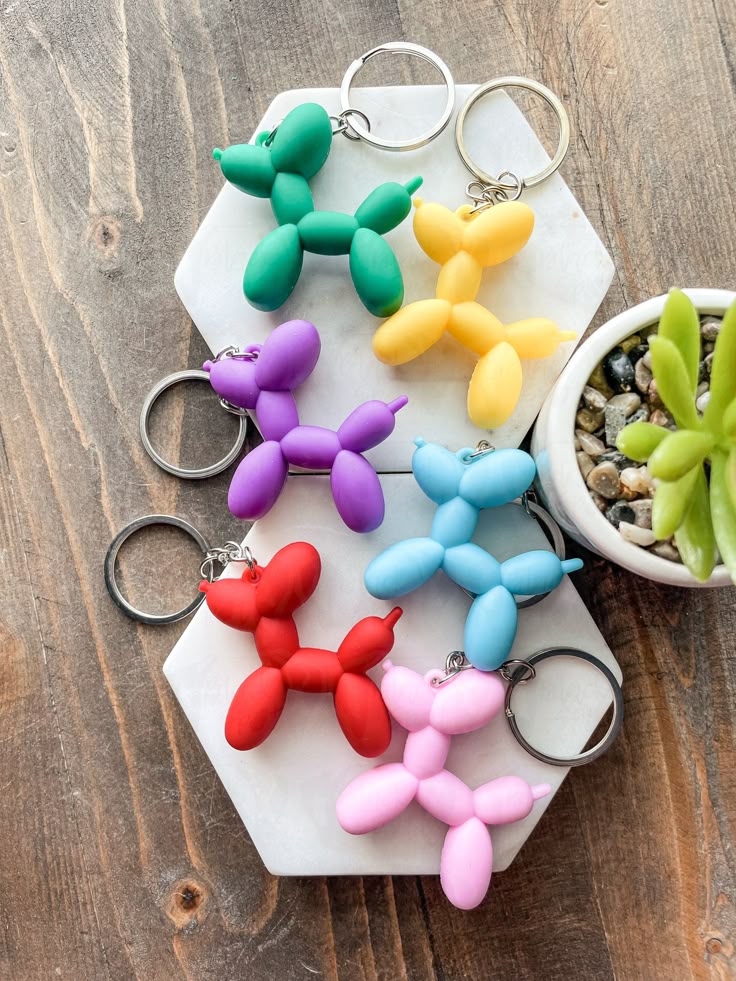 Colorful balloon dog keychains on a hexagonal tray, with a succulent plant on wooden background.