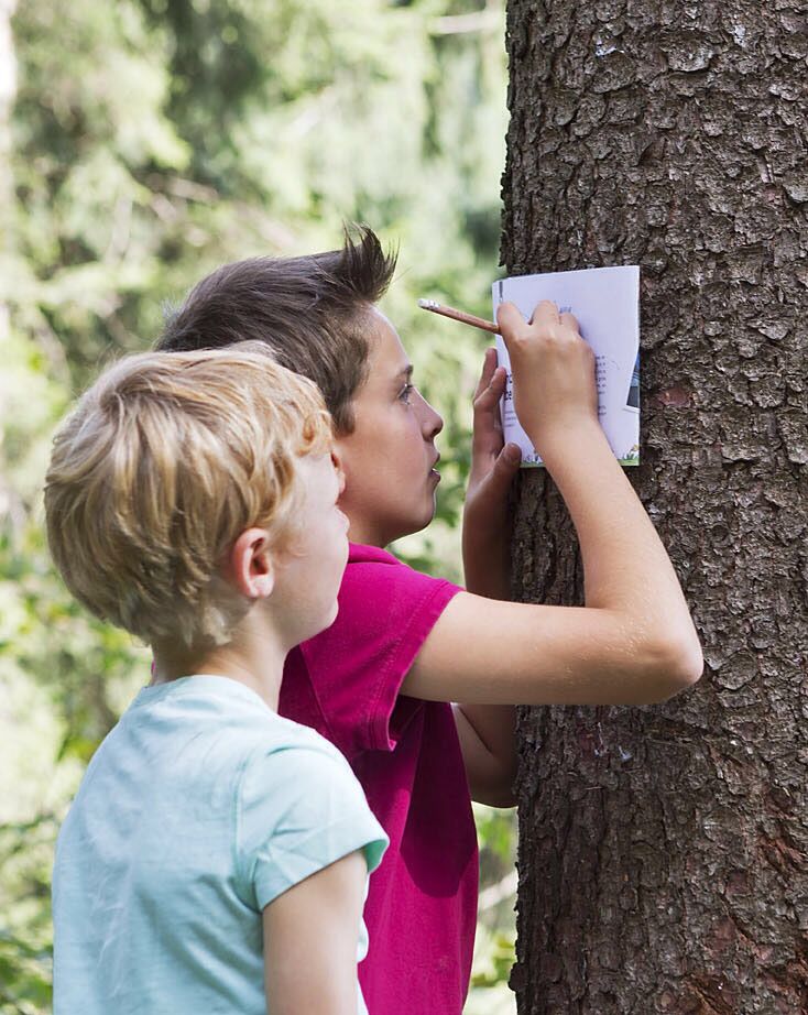Children writing on a notepad attached to a tree in a forest.