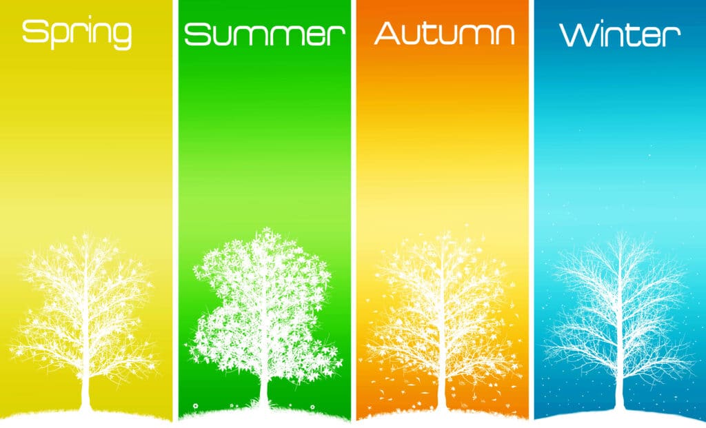 Four seasonal trees: spring, summer, autumn, winter, each depicted with unique colors and tree foliage.