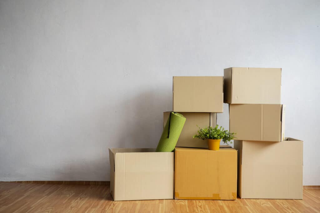 Stacked moving boxes and a green plant in a pot on a wooden floor against a white wall.