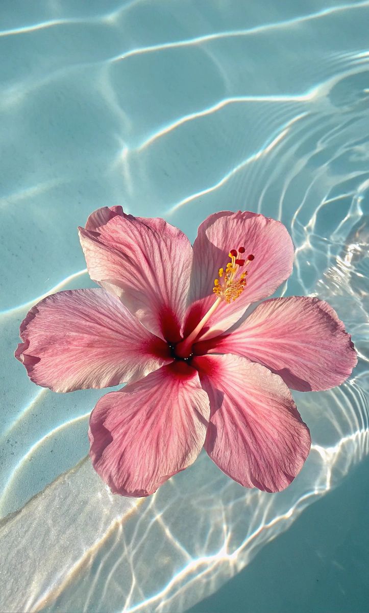 Discover the Best Summer Wallpaper Styles for Your Screen