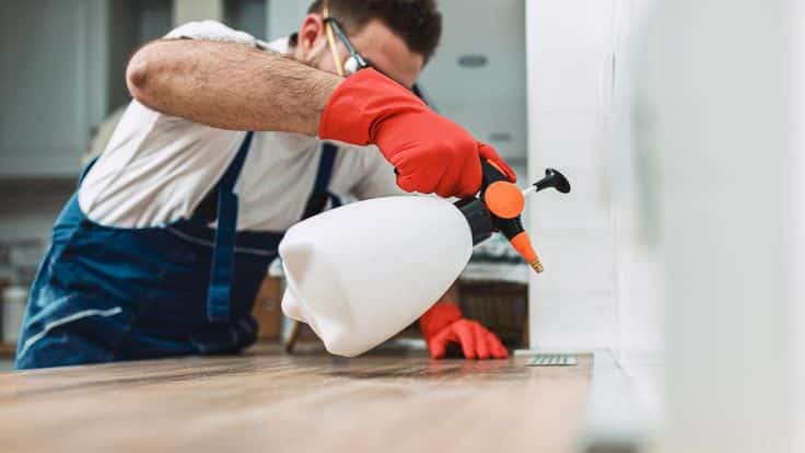 Man cleaning kitchen counter with spray bottle and red gloves, focusing on hygiene and cleanliness in a home setting.