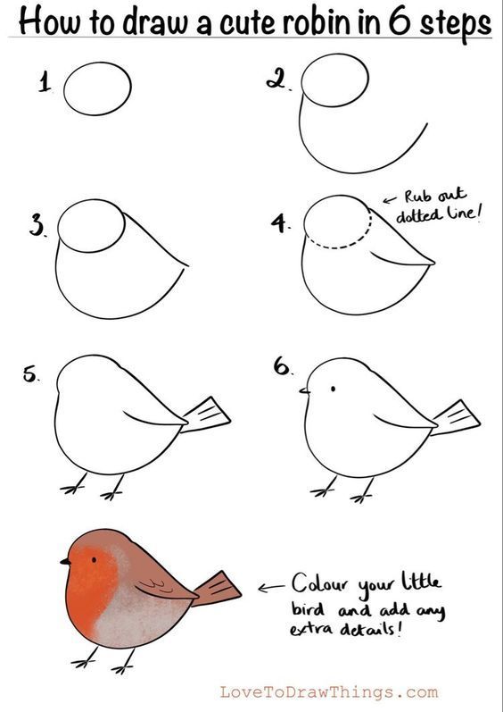 How to Draw a Cute Robin in 6 Steps | Sky Rye Design