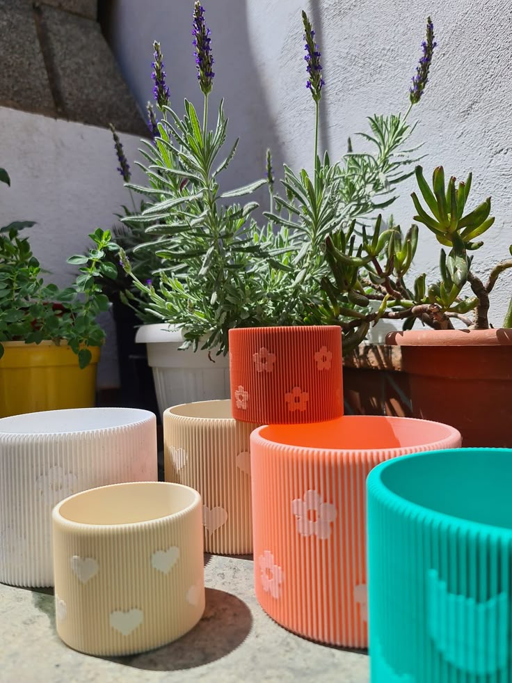 Colorful decorative plant pots and blooming lavender in a sunny garden setting.