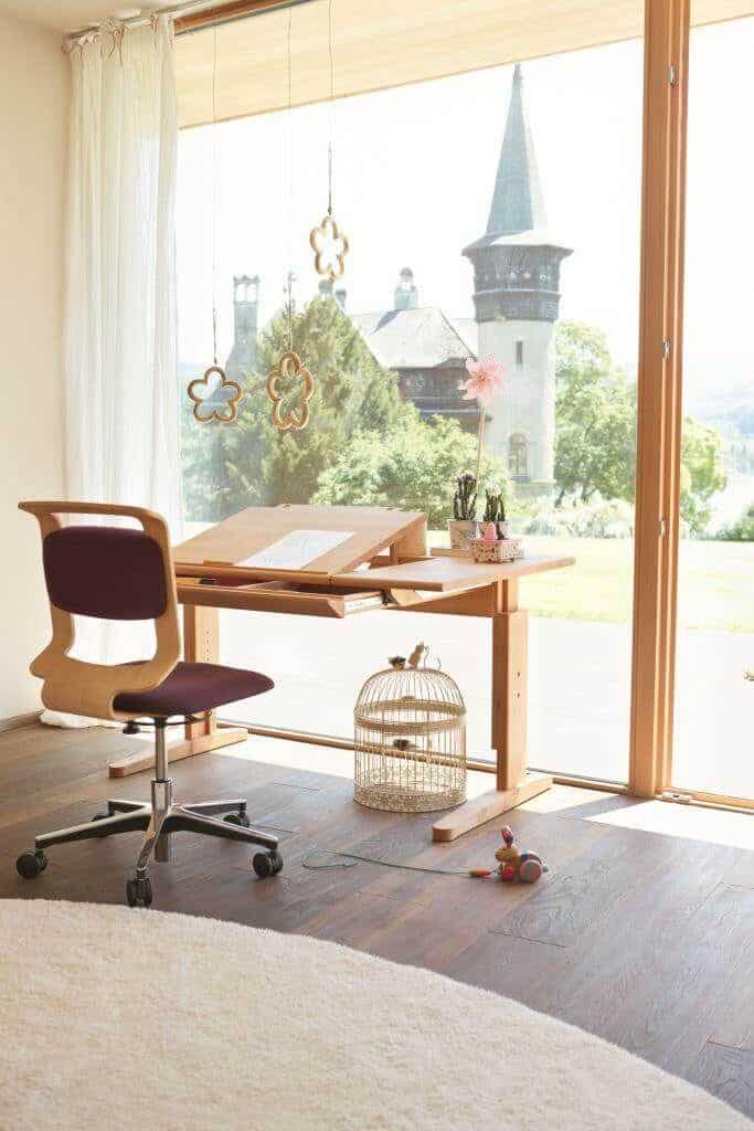 Cozy home office with wooden desk, view of tower, cage decor, and playful accents by a large window.