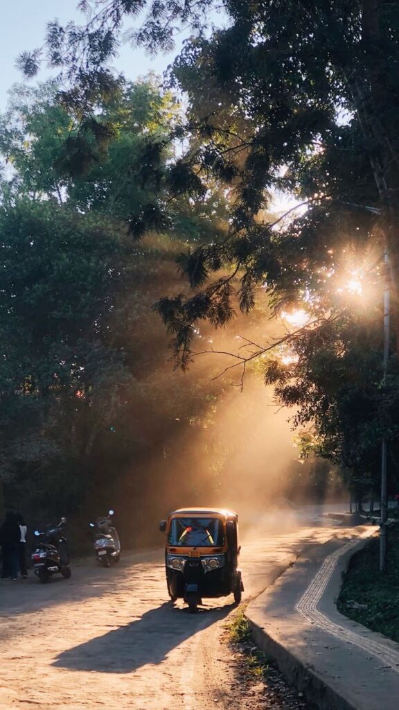 Autorickshaw on a tree-lined road at sunrise, with sunlight streaming through the branches.