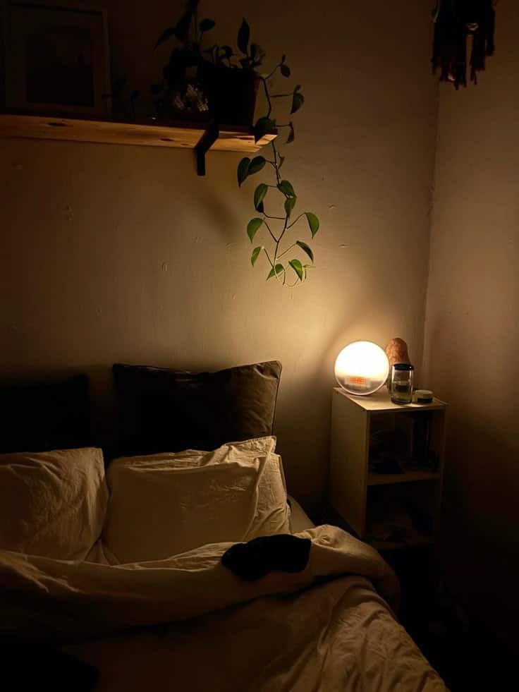Night time routine = low light Cozy bedroom with soft lighting from a bedside lamp, green plant on a shelf, and unmade bed with pillows. | Sky Rye Design Cozy bedroom with soft lighting from a bedside lamp, green plant on a shelf, and unmade bed with pillows.