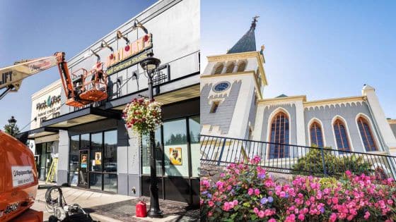 Rebranding on a Budget How Color Changes Can Revive Fading WA Businesses | Sky Rye Design