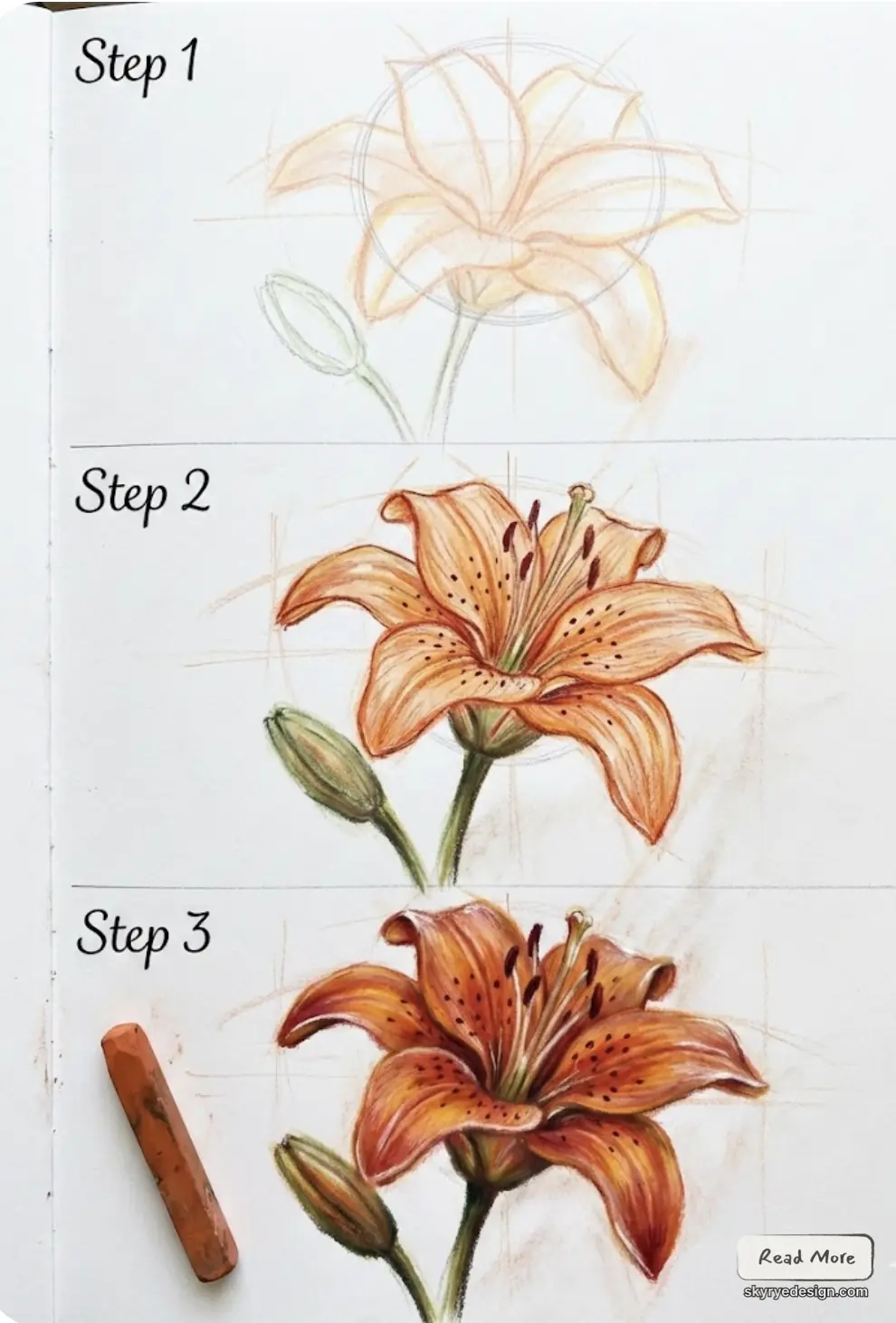 Step-by-step drawing tutorial of an orange lily: rough sketch, shaded mid-stage, and finished colored flower illustration with bud and stem.