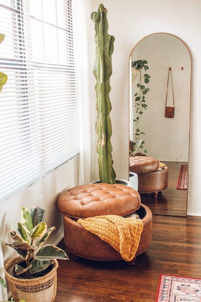 Cozy living room corner with cactus, leather ottoman, knit blanket, and mirror reflecting plants. Bright, warm decor.